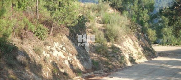 8500m² Land in Marco de Canaveses, Portugal No. 61811 2