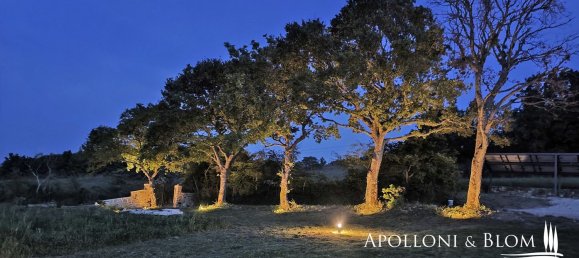 7 rooms House in Castiglione d'Orcia, Italy No. 54071 15