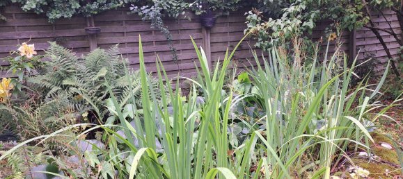 3-salle Maison de ville à Aachen, Germany No. 236333 13