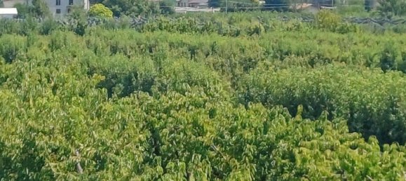 6 rooms House in Vignola, Italy No. 269344 21