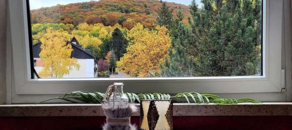 Apartamento de 1 dormitorio en Goslar, Germany No. 209137 7