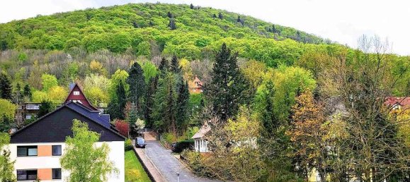 Apartamento de 1 dormitorio en Goslar, Germany No. 209137 13