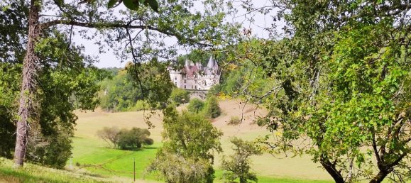 4 bedrooms House in Dordogne, France No. 205602 5