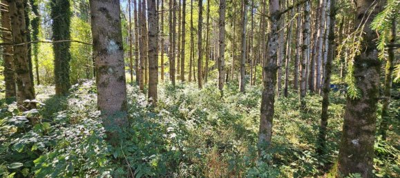 4 rooms House in Neudau, Austria No. 251789 5