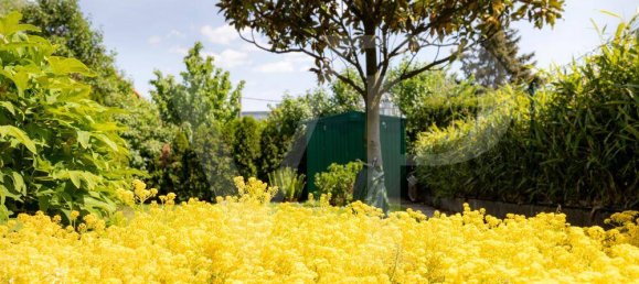 1 bedroom House in Dobling, Austria No. 153578 9