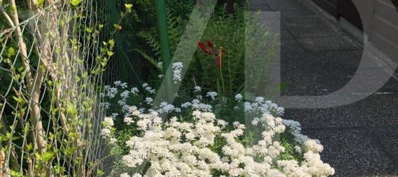 1 bedroom House in Dobling, Austria No. 153578 5