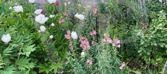 1 bedroom House in Dobling, Austria No. 153578 6