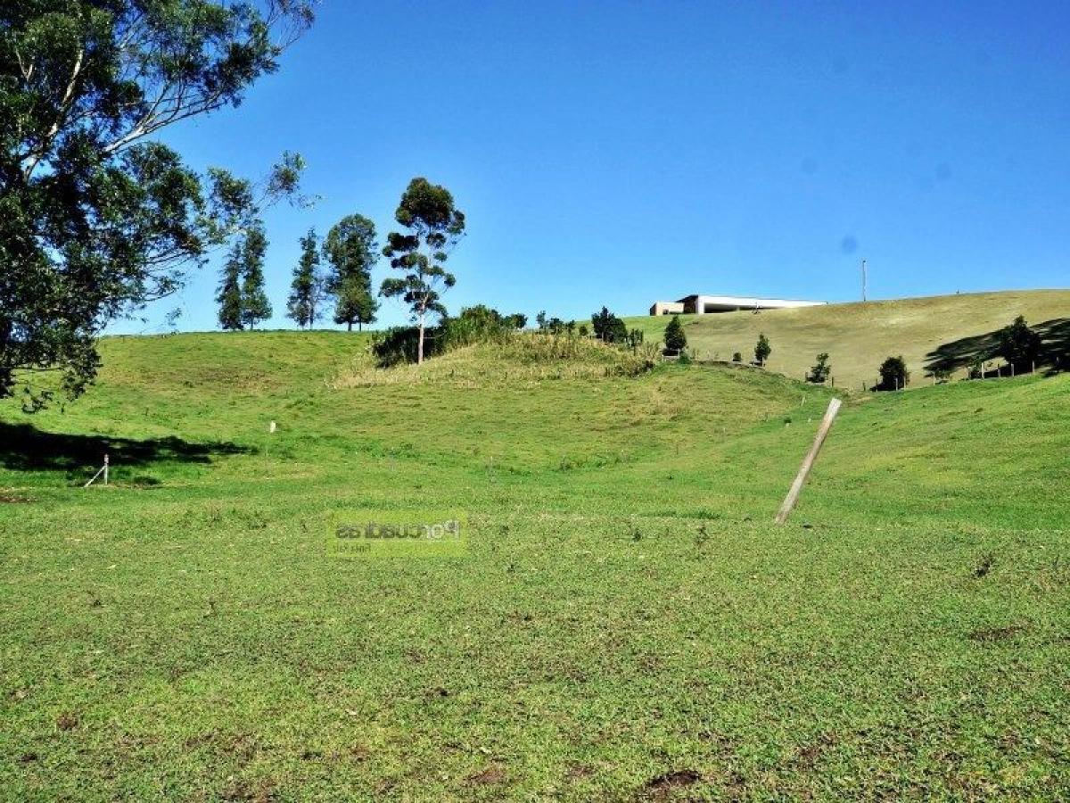  Land in Antioquia, Colombia No. 665