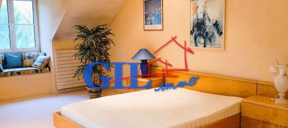 4 bedrooms House in Seine-Port, France No. 171725 13