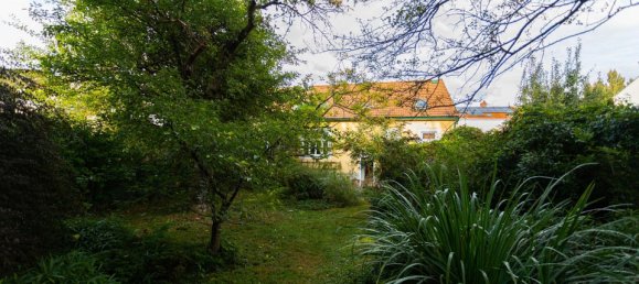 7-salle Maison à Langenzersdorf, Austria No. 77274 19
