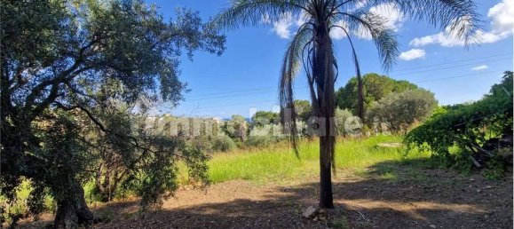 Grundstück in Termini Imerese, Italy 30099m², Nr. 369789 14