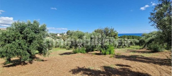 Grundstück in Termini Imerese, Italy 30099m², Nr. 369789 8