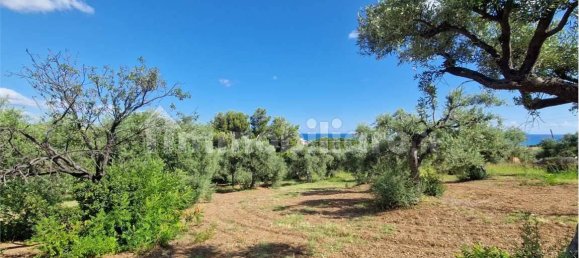 Grundstück in Termini Imerese, Italy 30099m², Nr. 369789 16