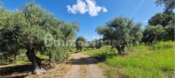 Grundstück in Termini Imerese, Italy 30099m², Nr. 369789 26