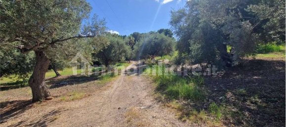 Grundstück in Termini Imerese, Italy 30099m², Nr. 369789 29