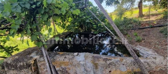 Grundstück in Termini Imerese, Italy 30099m², Nr. 369789 19