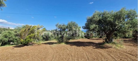 Grundstück in Termini Imerese, Italy 30099m², Nr. 369789 17