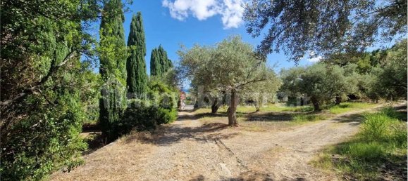 Grundstück in Termini Imerese, Italy 30099m², Nr. 369789 28