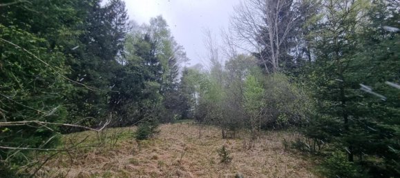 Terreno em Obertrum am See, Austria N.º 126675 3