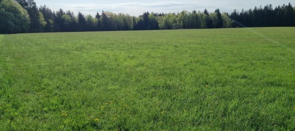 Terreno em Obertrum am See, Austria N.º 126675 2