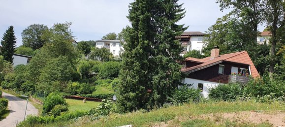  Land in Bergstrase, Germany No. 311904 4