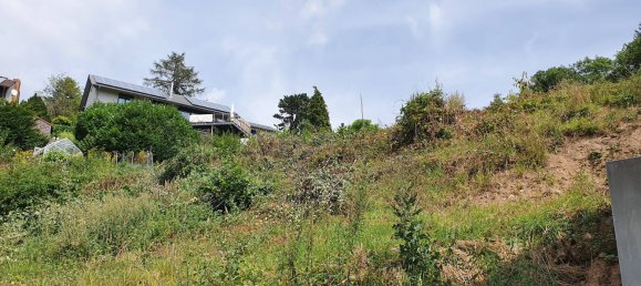  Land in Bergstrase, Germany No. 311904 2