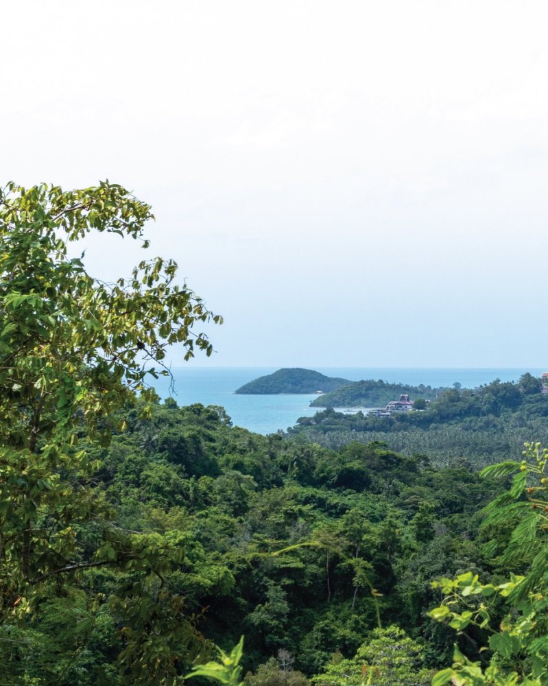  Land in Ko Samui, Thailand No. 27136