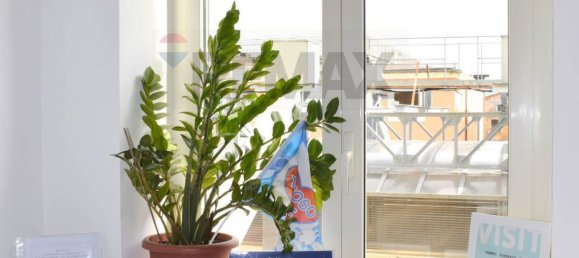 4 غرف نوم شقة في Naples, Italy رقم 295481 35