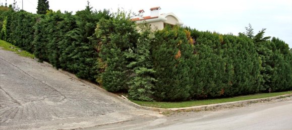 5 bedrooms Villa in Malesina, Greece No. 7193 19