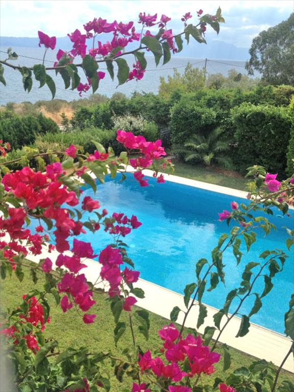5 bedrooms Villa in Malesina, Greece No. 7193
