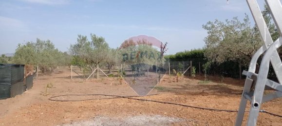 Villa de 2 habitaciónes en Caltagirone, Italy No. 82105 37