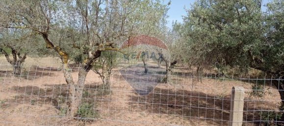 Villa de 2 habitaciónes en Caltagirone, Italy No. 82105 25