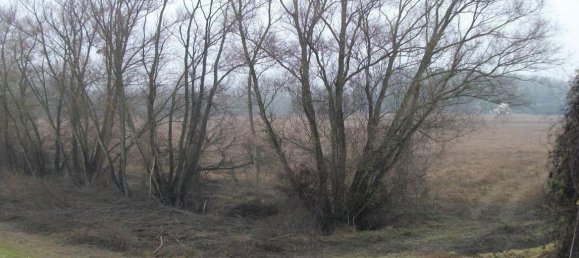 Terreno em Travacò Siccomario, Italy 1395103 m² N.º 155832 4