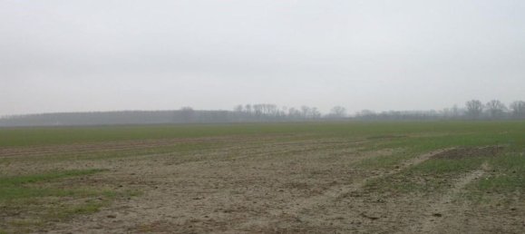 Terreno em Travacò Siccomario, Italy 1395103 m² N.º 155832 8