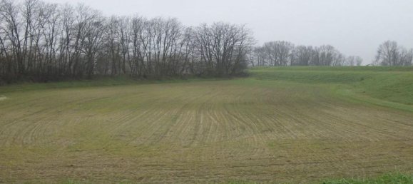 Terreno em Travacò Siccomario, Italy 1395103 m² N.º 155832 3