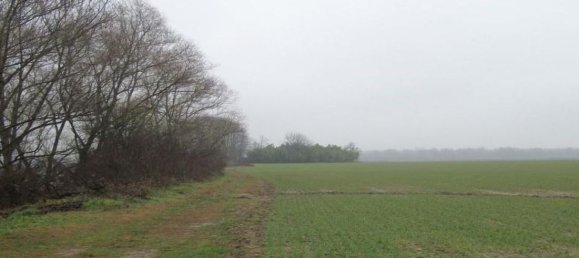 Terreno em Travacò Siccomario, Italy 1395103 m² N.º 155832 9