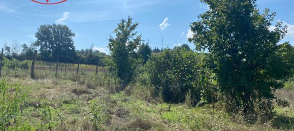 Studio in San Giovanni Valdarno, Italy No. 132977 11