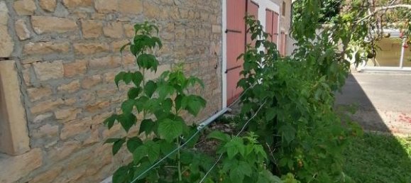 Casa de 3 dormitorios en Senozan, France No. 203242 13