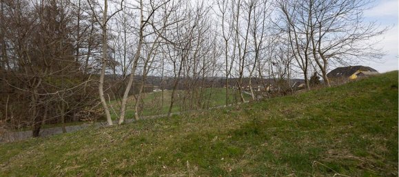 Land in Heiligenkreuz am Waasen, Austria No. 164966 3