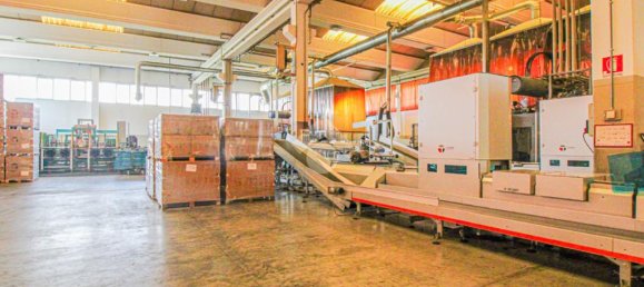 1 room Warehouse in Capriolo, Italy No. 257657 8