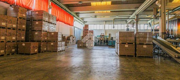 1 room Warehouse in Capriolo, Italy No. 257657 7