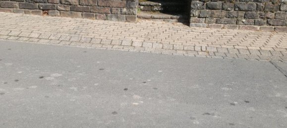 Земельный участок в Рейнланд-Пфальц, Германия № 329007 4