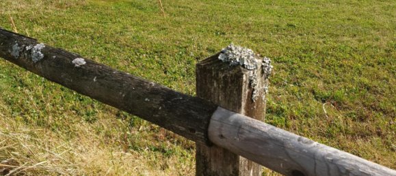 Земельный участок в Рейнланд-Пфальц, Германия № 329007 2