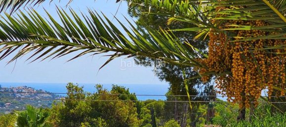 2 bedrooms Villa in Alicante, Spain No. 174324 7