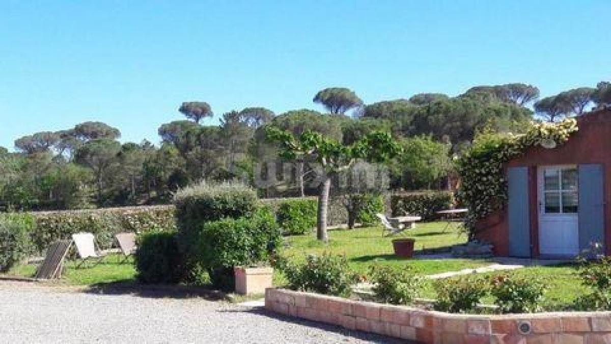 354m² Shop in Vidauban, France No. 18749