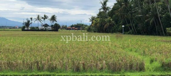 Grundstück in Tabanan, Indonesia 3800m², Nr. 3749 21