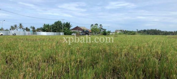 Grundstück in Tabanan, Indonesia 3800m², Nr. 3749 14