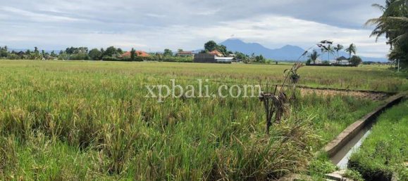 Grundstück in Tabanan, Indonesia 3800m², Nr. 3749 20