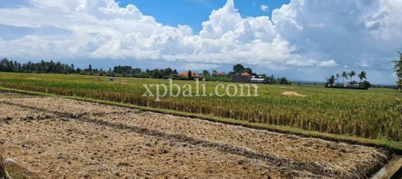 Grundstück in Tabanan, Indonesia 3800m², Nr. 3749 17