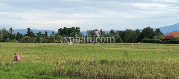 Grundstück in Tabanan, Indonesia 3800m², Nr. 3749 9